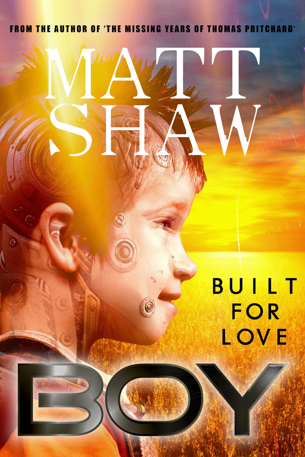 Boy Built For Love Shaw Matt