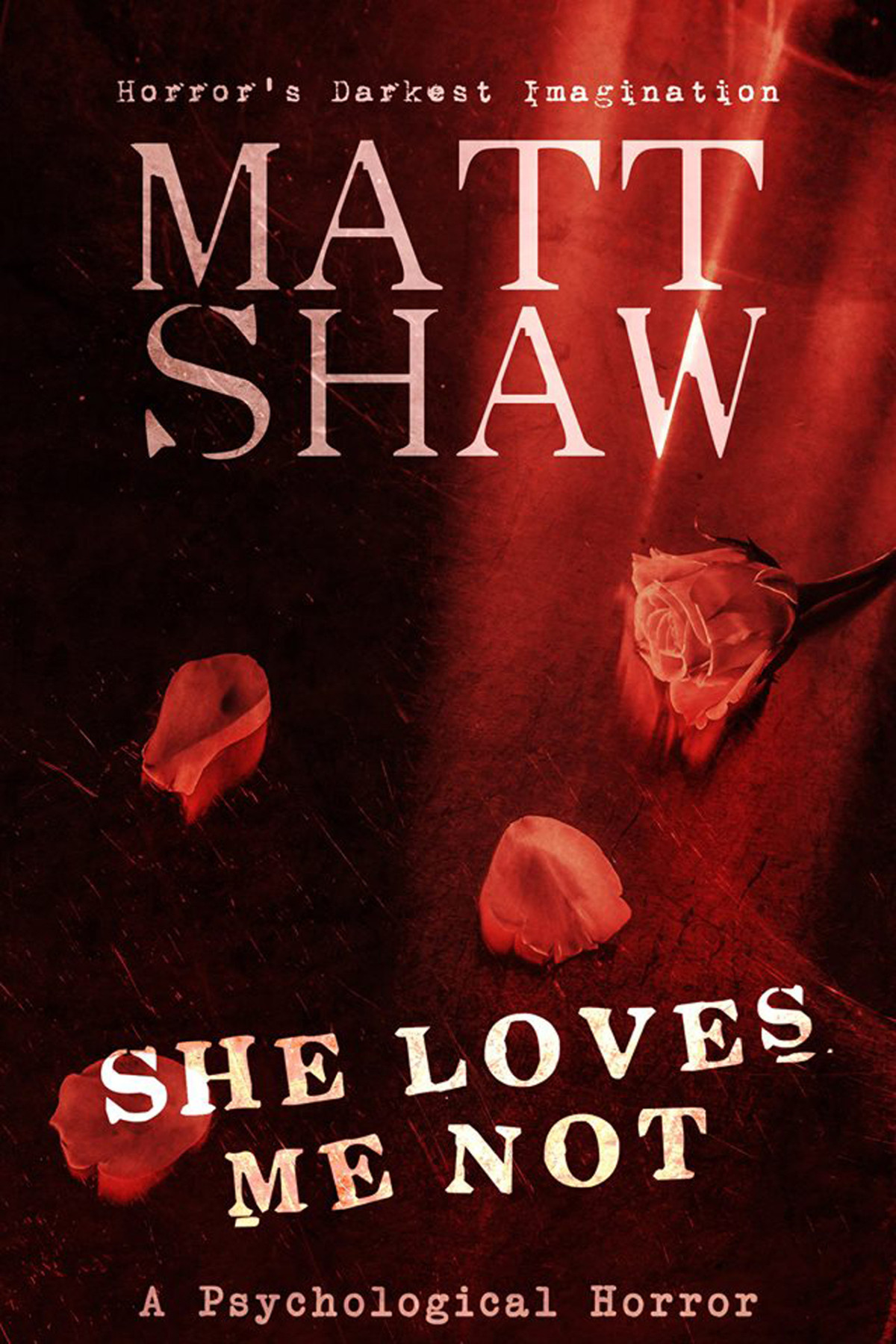 She Loves Me Not A Dark Tale Of Obsession Shaw Matt
