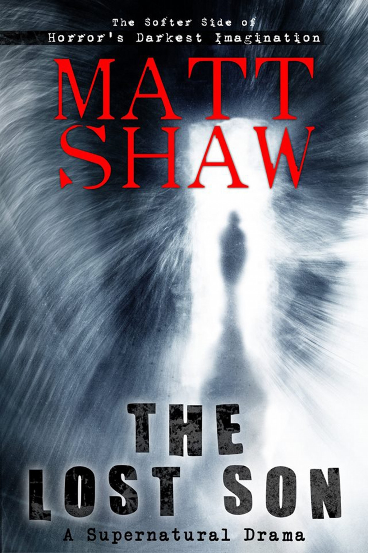 The Lost Son A Supernatural Novel Of Suspense Shaw Matt