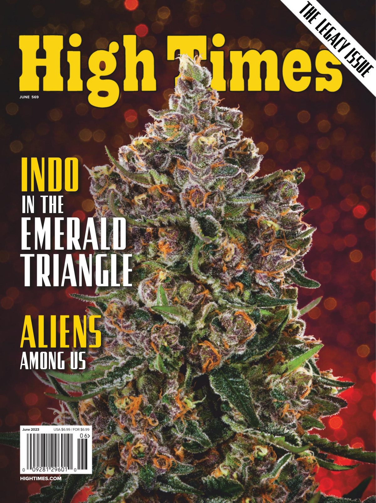 High Times Indo In The Emerald Triangle High Time Magazine