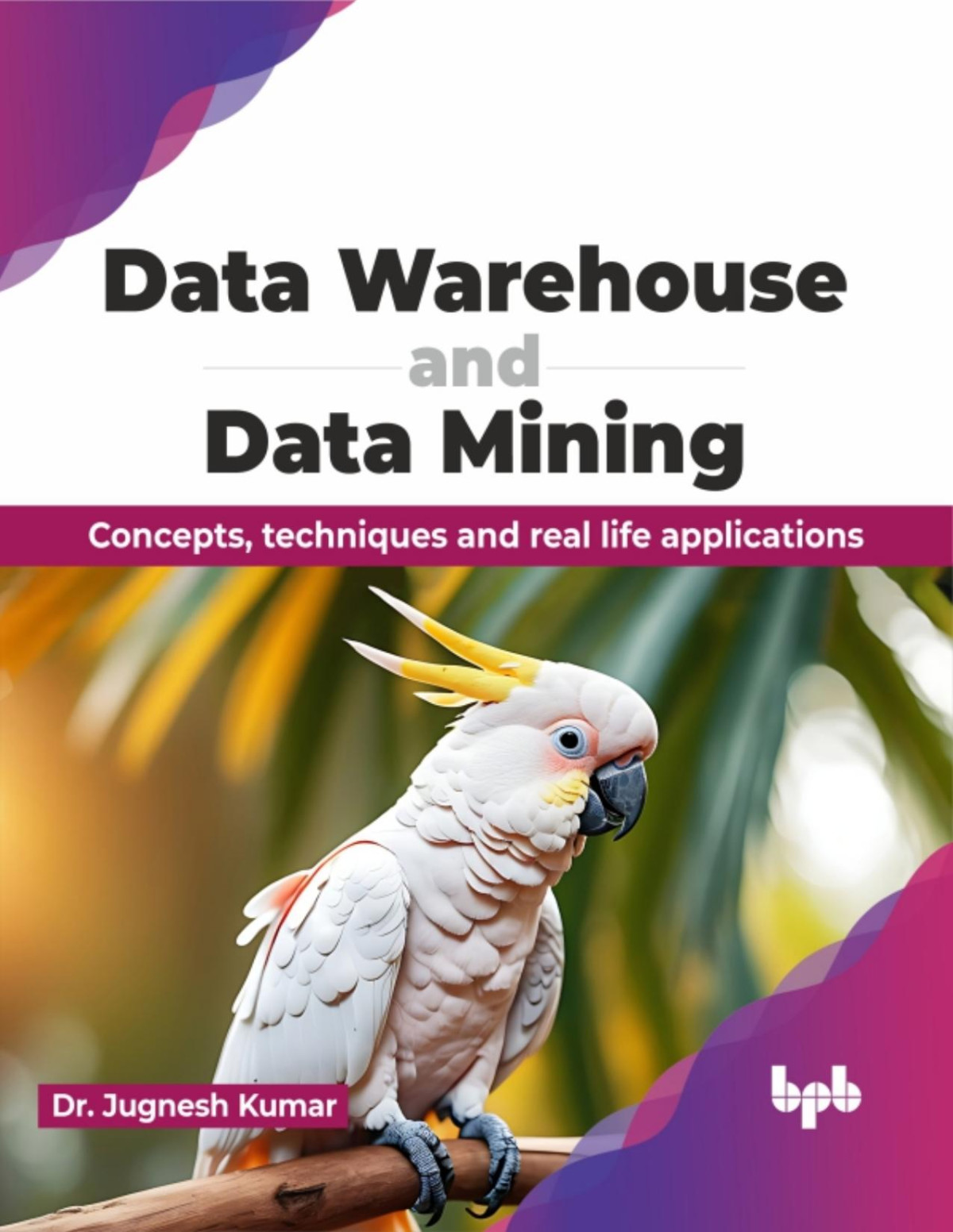 Data Warehouse And Data Mining Concepts Techniques And Real Life Applications Kumar