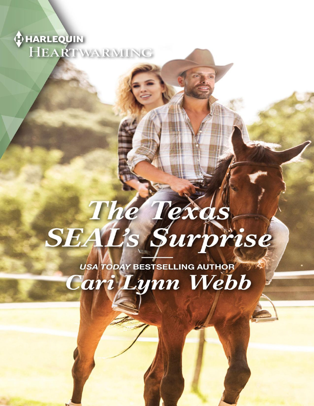 The Texas Seals Surprisea Clean Romance Cari Lynn Webb