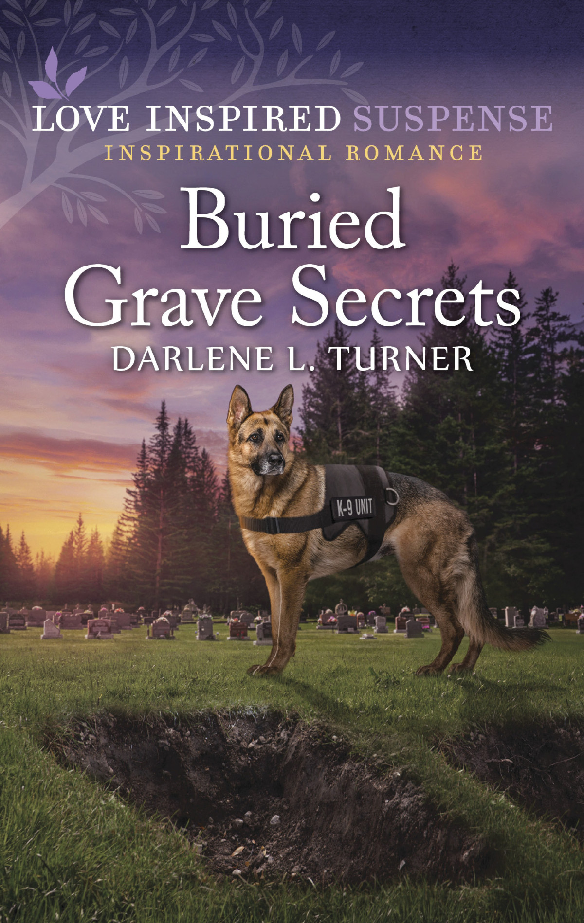 Buried Grave Secrets Darlene L Turner