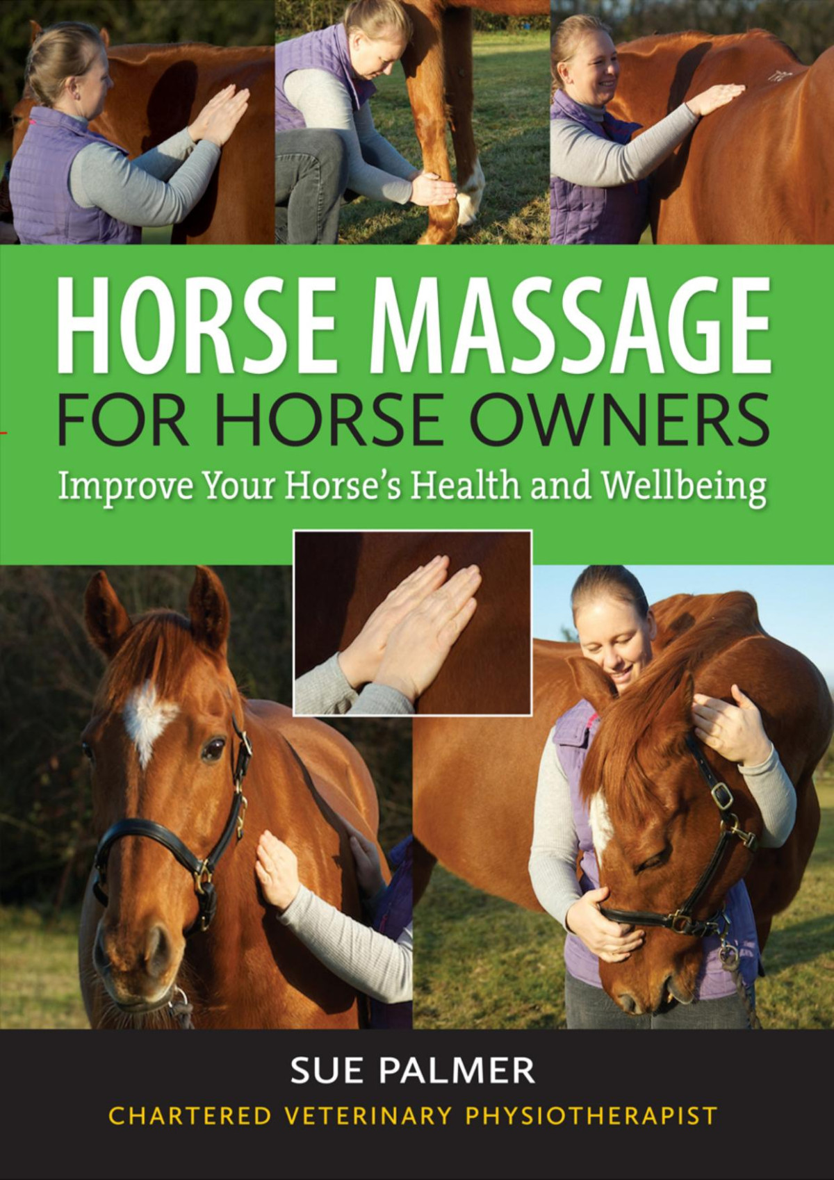 Horse Massage For Horse Owners Sue Palmer