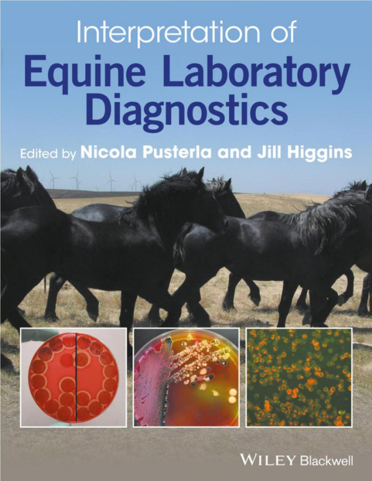 Interpretation Of Equine Laboratory Diagnostics Nicola Pusterla