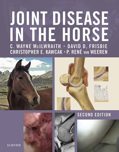 Joint Disease In The Horse 2nd Edition Mcilwraith Bvsc Phd Dsc Frcvs Diplomate Acvs Dipacvsmr