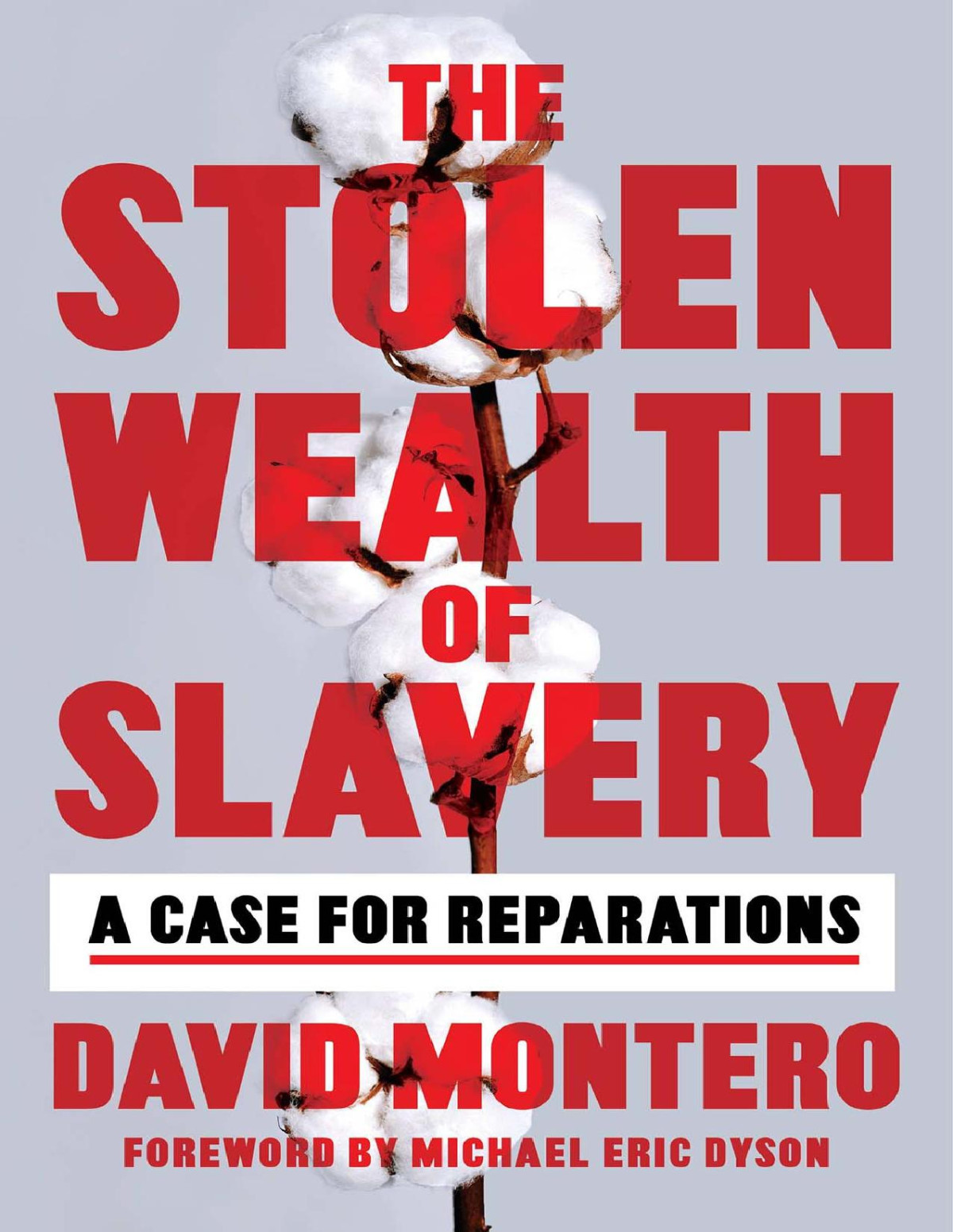 The Stolen Wealth Of Slavery A Case For Reparations 1st Edition Montero