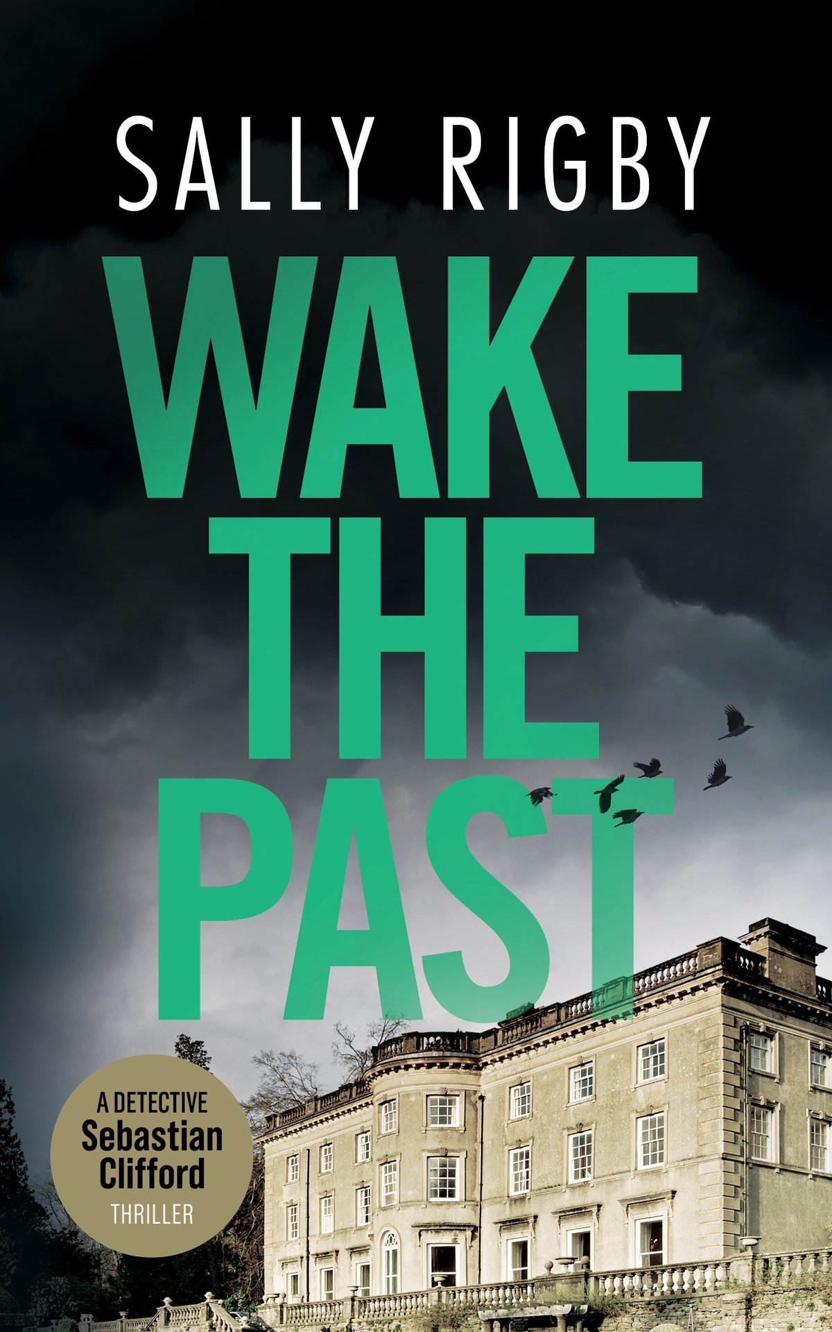 Wake The Past A Midlands Crime Thriller Sally Rigby