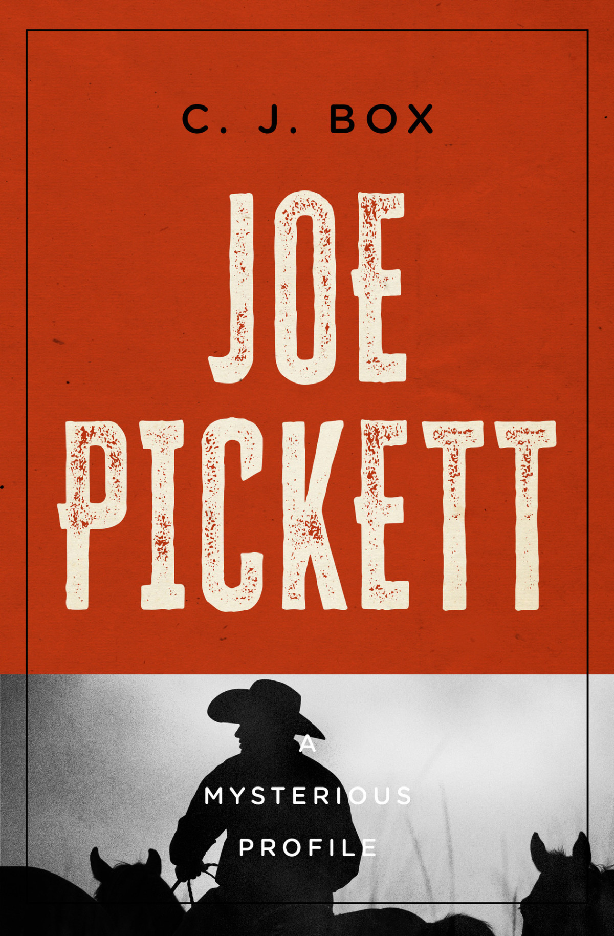 Joe Pickett A Mysterious Profile Mysterious Profiles Box C J