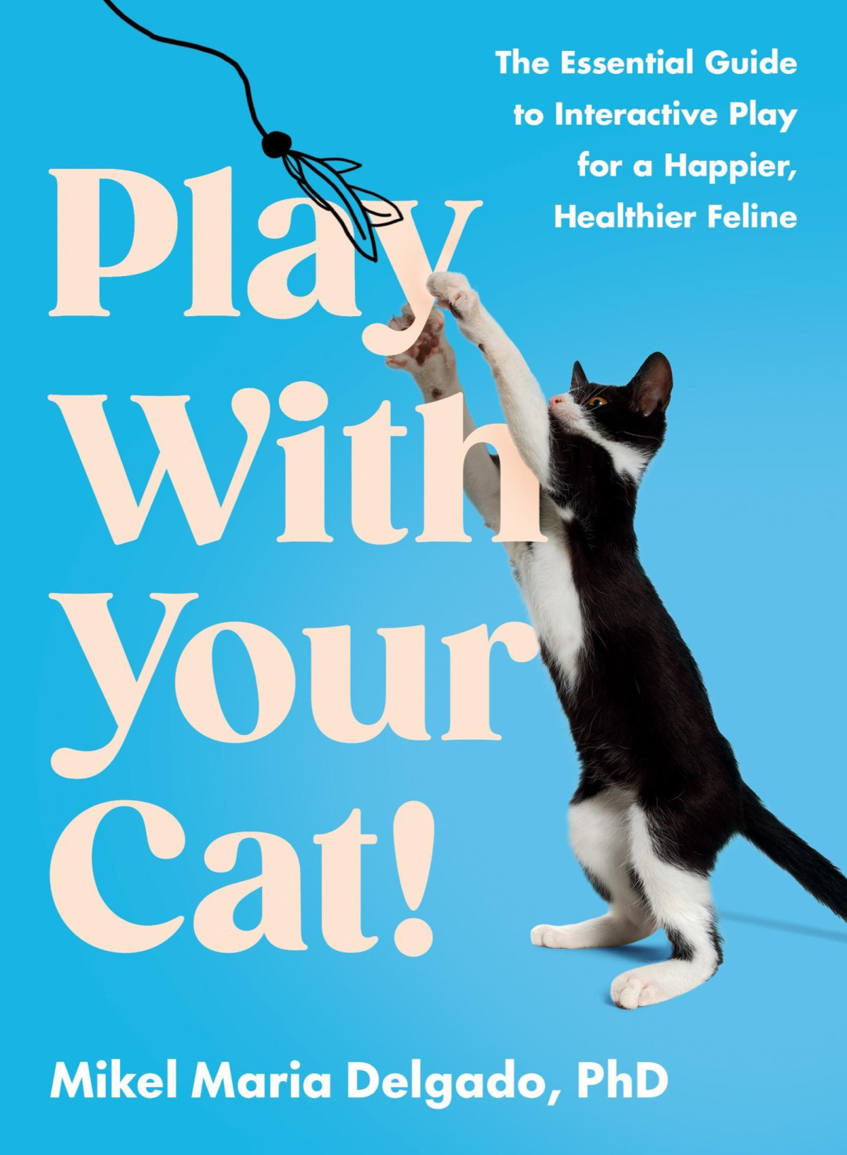 Play With Your Cat The Essential Guide To Interactive Play For A Happier Healthier Feline Mikel Maria Delgado