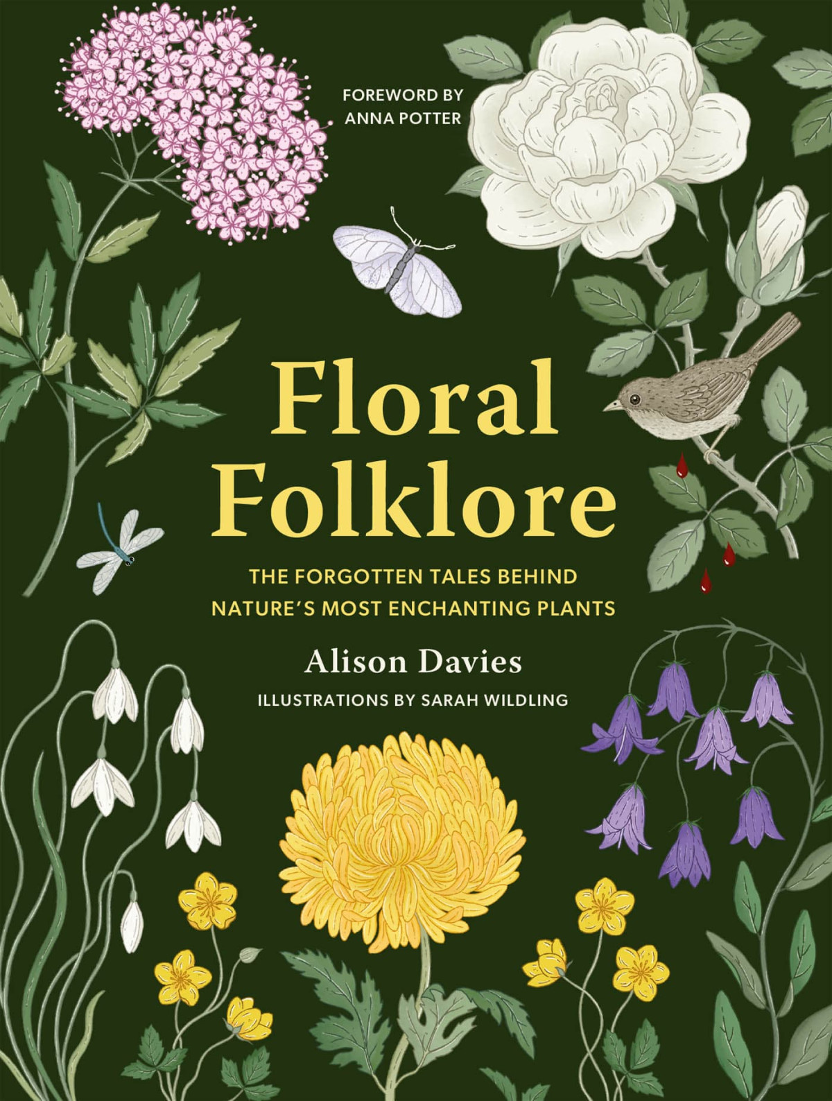 Floral Folklore Alison Davies