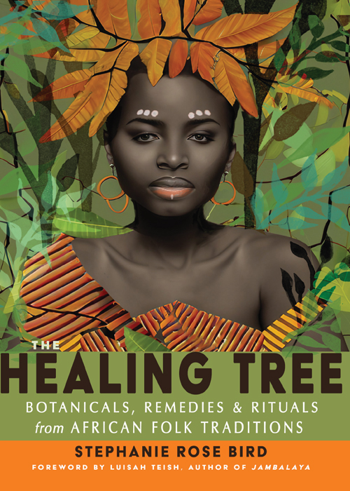 The Healing Tree Botanicals Remedies And Rituals From African Folk Traditions Stephanie Rose Bird