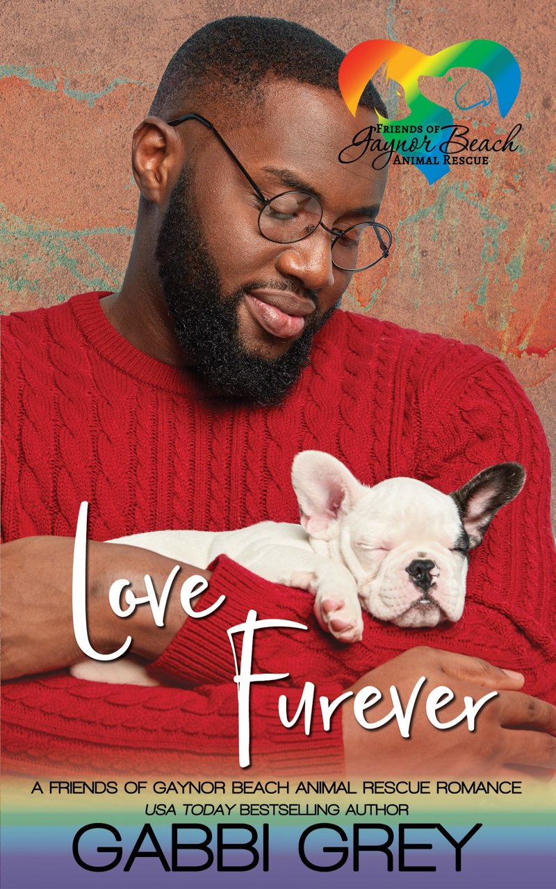 Love Furever Friends Of Gaynor Beach Animal Rescue Gabbi Grey