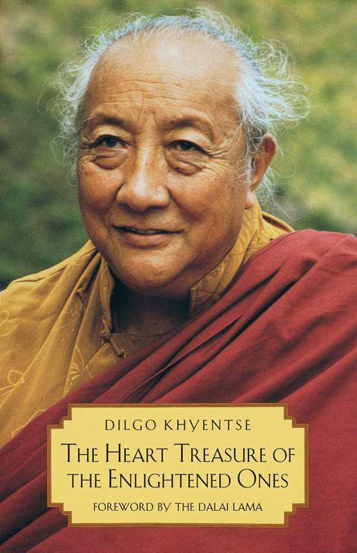 The Heart Treasure Of The Enlightened Ones The Practice Of View Meditation And Action Dilgo Khyentse Rinpoche Patrul Rinpoche