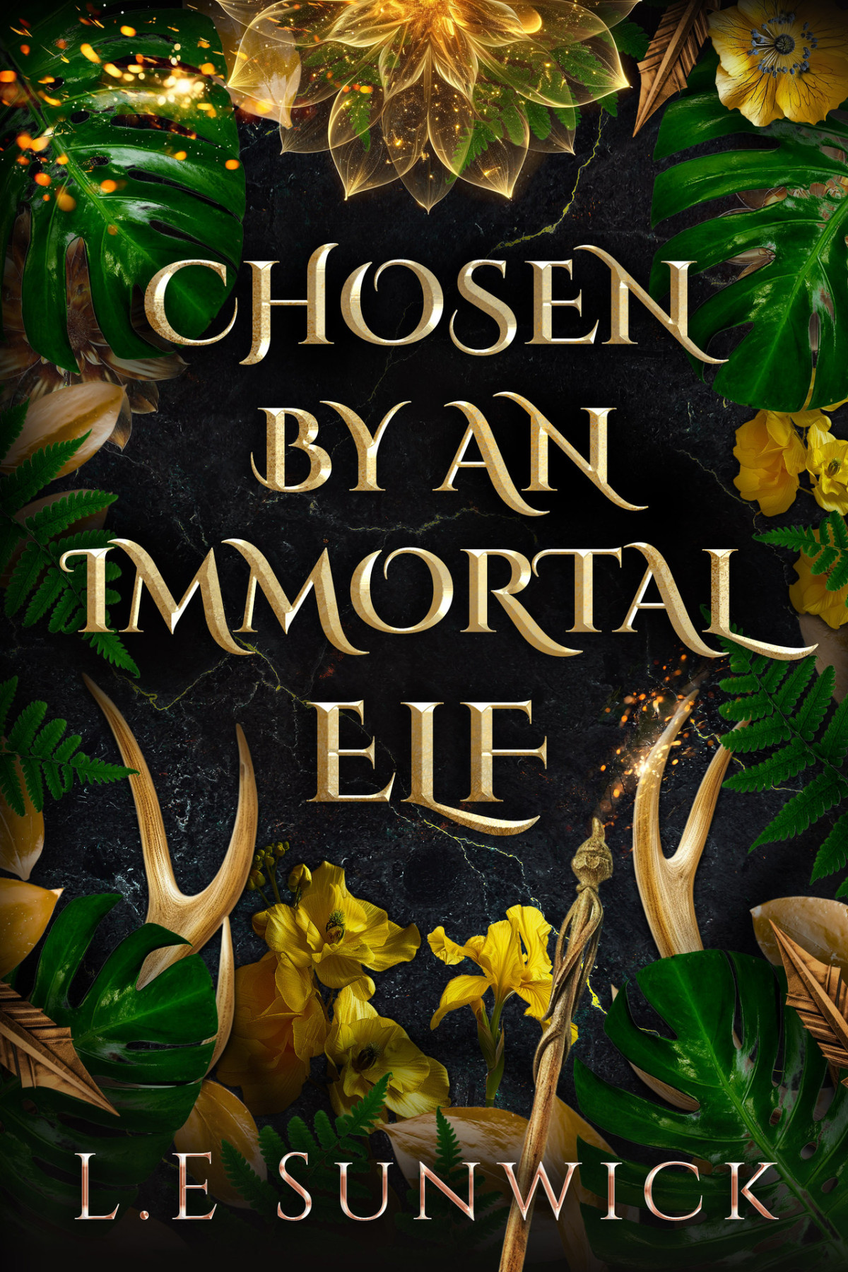 Chosen By An Immortal Elf L E Sunwick