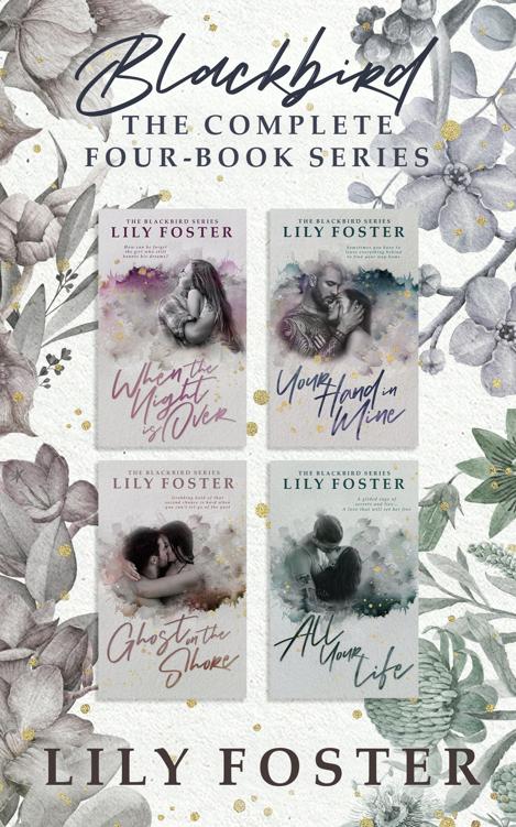 Blackbird The Complete Series Lily Foster