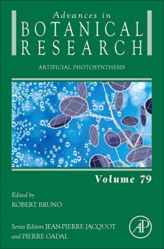 Artificial Photosynthesis 1st Edition Bruno Robert Eds
