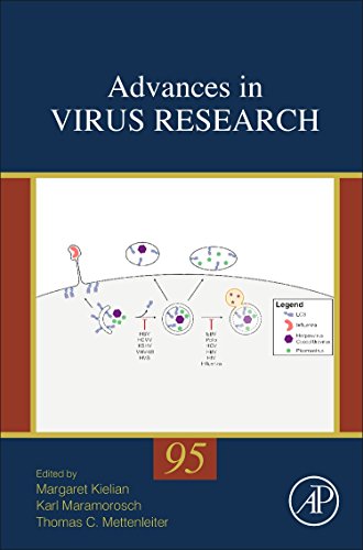 Advances In Virus Research 95 1st Edition Margaret Kielian Karl Maramorosch And Thomas C Mettenleiter Eds