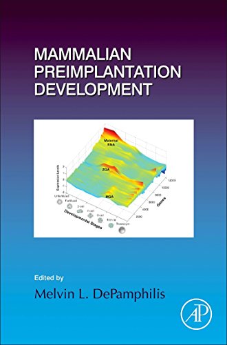 Mammalian Preimplantation Development 1st Edition Melvin L Depamphilis Eds
