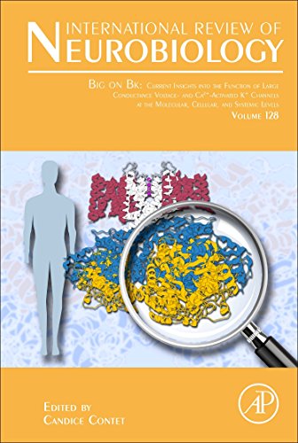 Big On Bk Current Insights Into The Function Of Large Conductance Voltage And Ca Activated K Channels At The Molecular Cellular And Systemic Levels 1st Edition Candice Contet Eds
