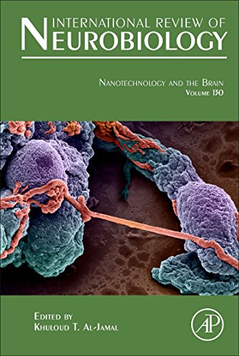 Nanotechnology And The Brain 1st Edition Khuloud T Aljamal Eds