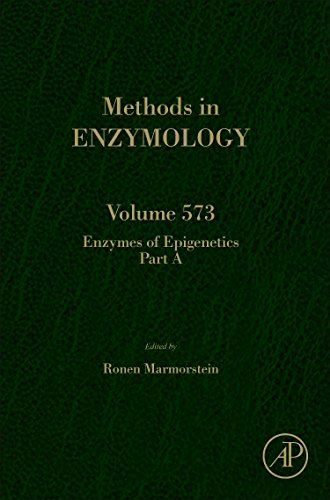 Enzymes Of Epigenetics Part A 1st Edition Ronen Marmorstein Eds