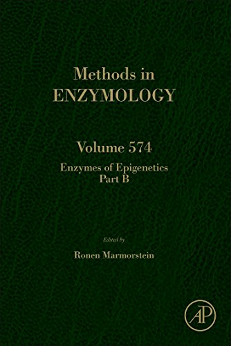 Enzymes Of Epigenetics Part B 1st Edition Ronen Marmorstein Eds