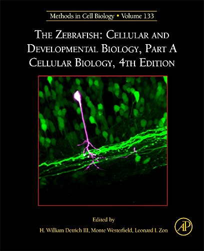 The Zebrafish Cellular And Developmental Biology Part A Cellular Biology 4th Edition H William Detrich