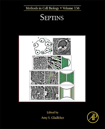 Septins 1st Edition Amy S Gladfelter Eds