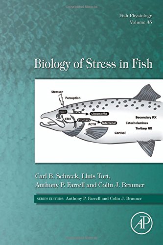 Biology Of Stress In Fish Fish Physiology 1st Edition Carl B Schreck
