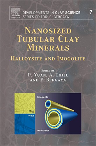 Nanosized Tubular Clay Minerals Halloysite And Imogolite 1st Edition Peng Yuan