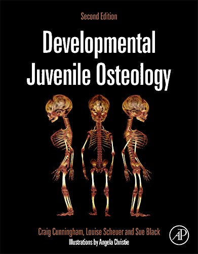 Developmental Juvenile Osteology 2nd Edition Craig Cunningham