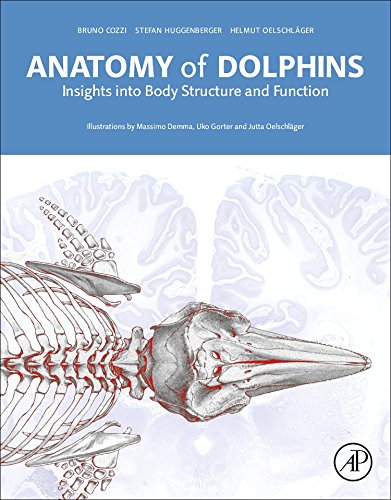 Anatomy Of Dolphins Insights Into Body Structure And Function 1st Edition Bruno Cozzi