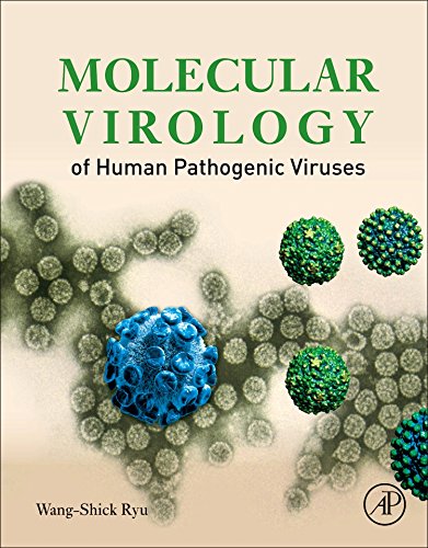 Molecular Virology Of Human Pathogenic Viruses 1st Edition Wangshick Ryu
