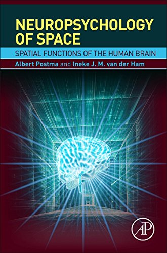 Neuropsychology Of Space Spatial Functions Of The Human Brain 1st Edition Albert Postma