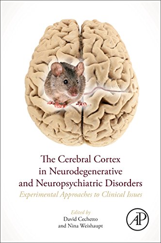 The Cerebral Cortex In Neurodegenerative And Neuropsychiatric Disorders Experimental Approaches To Clinical Issues 1st Edition David F Cechetto