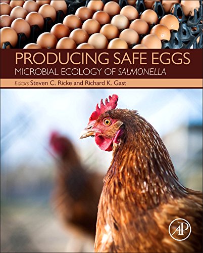 Producing Safe Eggs Microbial Ecology Of Salmonella 1st Edition Steven C Ricke