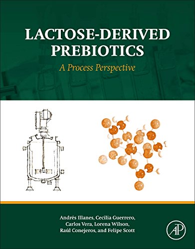 Lactosederived Prebiotics A Process Perspective 1st Edition Andrs Illanes