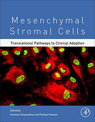 Mesenchymal Stromal Cells Translational Pathways To Clinical Adoption 1st Edition Hematti Peiman
