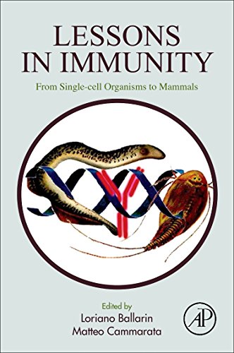 Lessons In Immunity From Singlecell Organisms To Mammals 1st Edition Loriano Ballarin