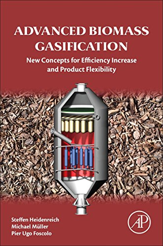 Advanced Biomass Gasification New Concepts For Efficiency Increase And Product Flexibility 1st Edition Steffen Heidenreich