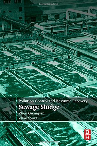 Pollution Control And Resource Recovery For Sewage Sludge 1st Edition Zhao Youcai