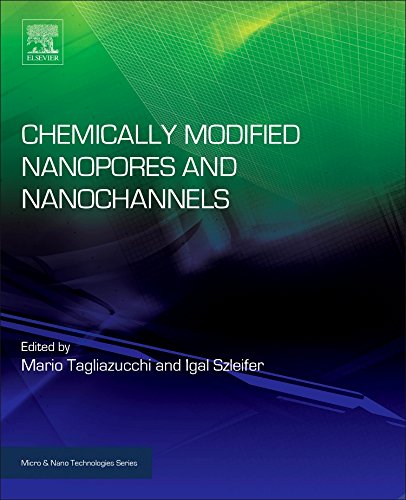 Chemically Modified Nanopores And Nanochannels 1st Edition Mario Tagliazucchi