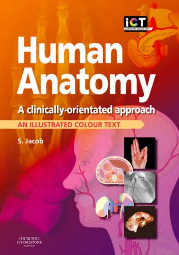 Human Anatomy A Clinicallyorienated Approach 1st Edition Sam Jacob