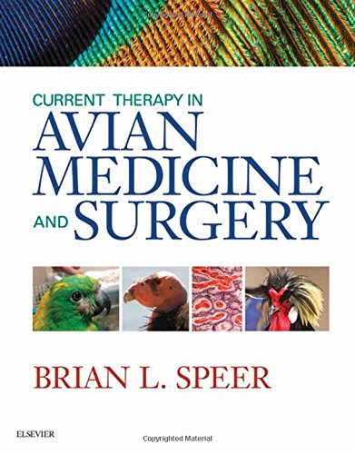 Current Therapy In Avian Medicine And Surgery 1st Edition Brian Speer