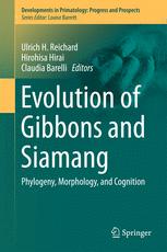 Evolution Of Gibbons And Siamang Phylogeny Morphology And Cognition 1st Edition Ulrich H Reichard