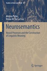 Neurosemantics Neural Processes And The Construction Of Linguistic Meaning 1st Edition Alessio Plebe