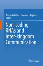 Noncoding Rnas And Interkingdom Communication 1st Edition Ana Lcia Leito