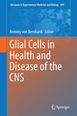 Glial Cells In Health And Disease Of The Cns 1st Edition Rommy Von Bernhardi Eds