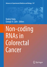 Noncoding Rnas In Colorectal Cancer 1st Edition Ondrej Slaby